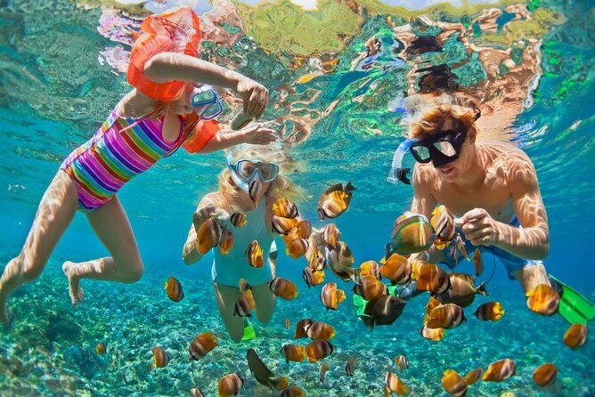 Giftun Island Snorkeling Trip Hurghada – Red Sea Boat Tour - Image 8