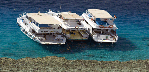 Giftun Island Snorkeling Trip Hurghada – Red Sea Boat Tour - Image 2