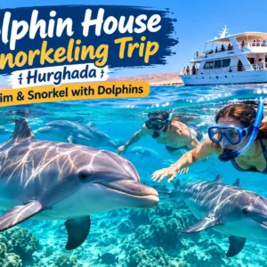 Dolphin House Snorkeling Trip Hurghada