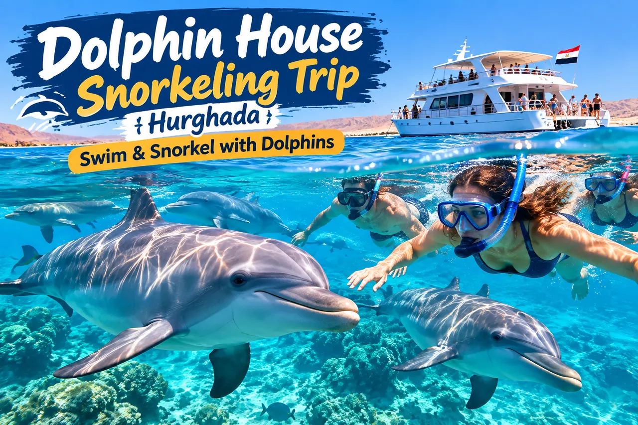 Dolphin House Snorkeling Trip Hurghada